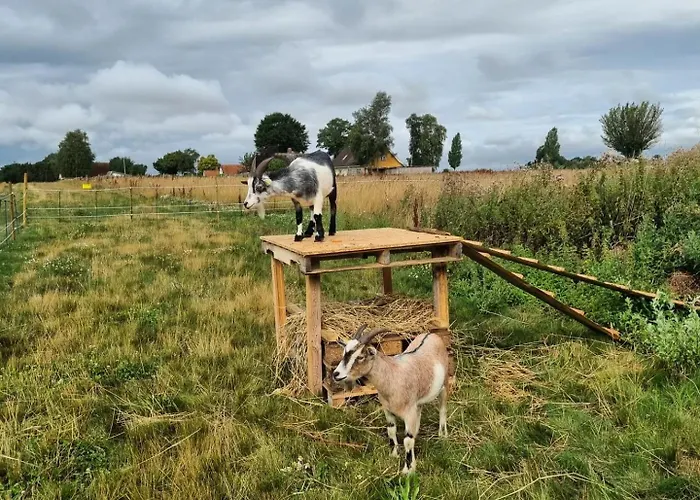 Ferieby Rødvig